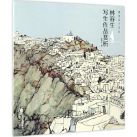 音像跟名家去写生林容生 著