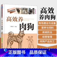 [正版]高效养肉狗 养狗书籍 养狗技术大全书籍 肉狗养殖教程技术书 肉狗场经营 肉狗养殖 肉狗场的建设选址 肉狗的饲养