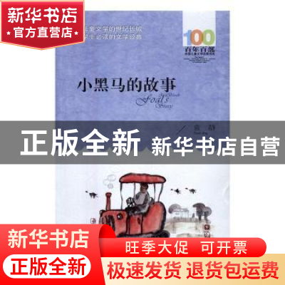 正版 百年百部中国儿童文学经典书系(2016版)·小黑马的故事 袁