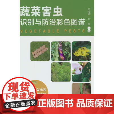 蔬菜害虫识别与防治彩色图谱