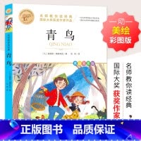 青鸟 [正版]青鸟 原著美绘彩图版小学生三四五六年级课外阅读书籍国际大奖获奖作家作品9-10-12岁儿童文学经典名著四年