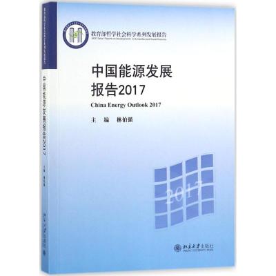 中国能源发展报告2017
