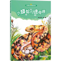 小蟒蛇归途奇遇 [正版]小蟒蛇归途奇遇 雨街动物趣读系列 狼王梦小说作者沈石溪儿童书籍8-12-15岁三四五六年级中小学