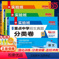 数学 小学升初中 [正版]2024小升初实验班百所重点中学招生真题分类卷语文数学英语小学升学初中测试卷全套名校模拟卷总复