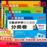 数学 小学升初中 [正版]2024小升初实验班百所重点中学招生真题分类卷语文数学英语小学升学初中测试卷全套名校模拟卷总复