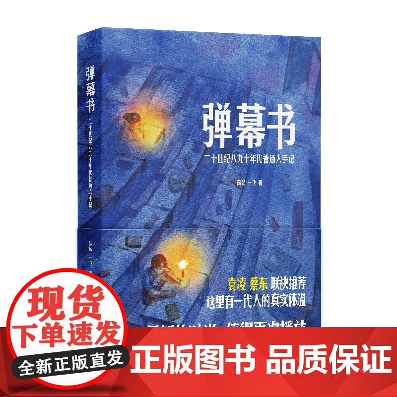 弹幕书:二十世纪八九十年代普通人手记 薛易 一飞 著