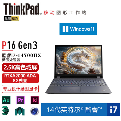 ThinkPad P16 (3MCD) 英特尔酷睿i7 16英寸高性能轻薄设计师工作站笔记本电脑 定制 i7-14700HX 64G 2TB RTXA2000 8G 2.5K超清