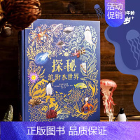 DK探秘缤纷水世界 [正版]DK浩瀚宇宙大奥秘科普大百科全书 关于揭秘宇宙的书儿童太空宇宙书籍大百科的奥秘星空天文我们的