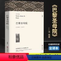 [正版]巴黎圣母院雨果区域初中生 原著全本无删节 青少年中学生阅读课外小说经典文学世界名著中国儿童文学03