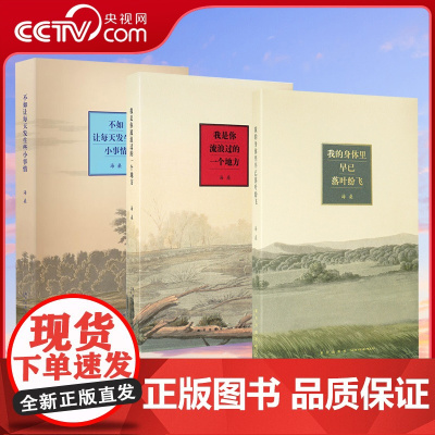 [央视网] 海桑的诗 诗集全三册全套我是你流浪过的一个地方+不如让每天发生些小事情+我的身体里早已落叶纷飞发生点小事情D