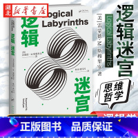 [正版] 逻辑迷宫 (美) 雷蒙德·M.斯穆里安著 趣味横生地讲述多种逻辑谜题的故事书逻辑学 思维 哲学 谜题 幻