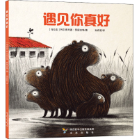 音像遇见你真好(乌拉圭)阿尔弗列德·瑟德吉特