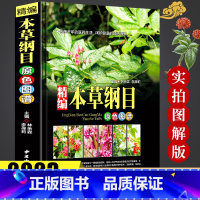 [正版]全书实拍本草纲目 精装中草药图谱本草纲目原版全套李时珍中草药彩图中医基础理论大全神农本草经李时珍全集中医养生书