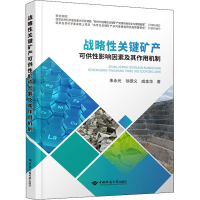 音像战略关键矿产可供影响因素及其作用机制朱永光,徐德义,成金华