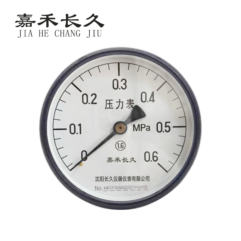 嘉禾长久 轴向压力表检测定制型 Y100Z 块