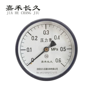 嘉禾长久 轴向压力表检测定制型 Y100Z 块