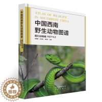 [醉染正版]中国西南野生动物图谱 爬行动物卷云贵川藏广西自然生态野生特有珍稀爬行类动物生活习性特征科普读物生物学学术研究