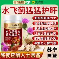 北京同仁堂 水飞蓟籽油葛根灵芝片 官方正品护养肝片正品官方旗舰店