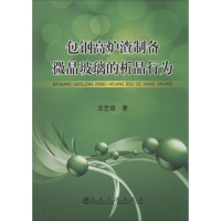 音像包钢高炉渣制备微晶玻璃的析晶行为王艺慈