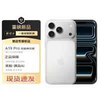 Apple iPhone17 Pro Max 双卡双待全网通 苹果手机17promax 美版合约机 银色 1TB