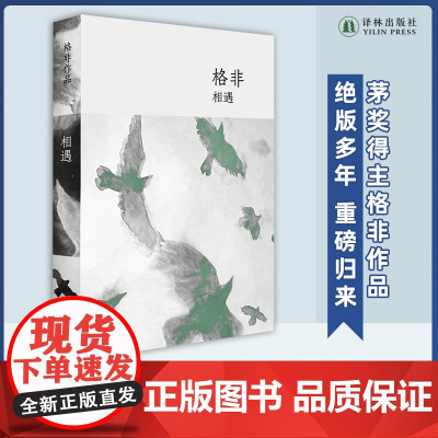 相遇 横跨二十世纪先锋文学年代 茅奖得主格非中短篇代表作全收录 绝版多年重磅归来