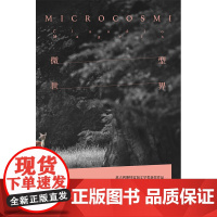 微型世界 克劳迪奥•马格里斯 著 小说