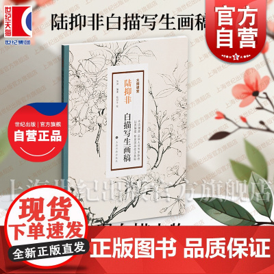 陆抑非白描写生画稿 大师课堂 张渊编陆抑非绘上海书画出版社近现代花鸟画大家展现白描人物写生教学图谱