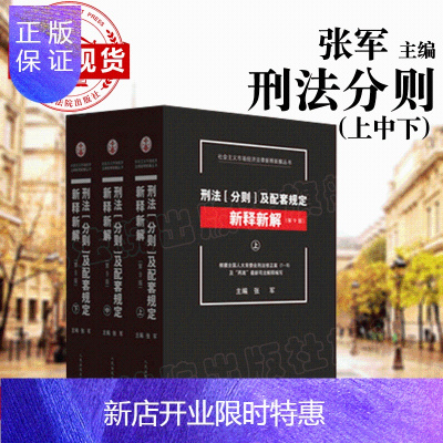 惠典正版刑法分则及配套规定新释新解第九版张军主编刑法分则配套规定新释新解刑法修正案