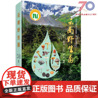 云南野生菌/杨祝良 王向华 吴刚科学出版社