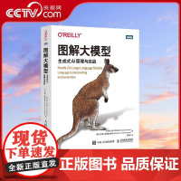 [央视网]图解大模型 生成式AI原理与实战 全程图解式讲解大模型 300幅精美插图大量代码示例配套面试题覆盖DeepSe