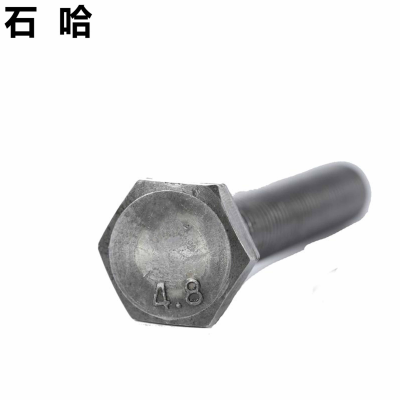 石哈4.8级外六角螺栓-C级M16*55(个)