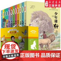 沈石溪动物小说系列全套野生动物救助站独牙象葬礼云豹归来雄鹰绝唱7-12周岁初中小学生课外阅读书籍三四五六年级暑假读一本好