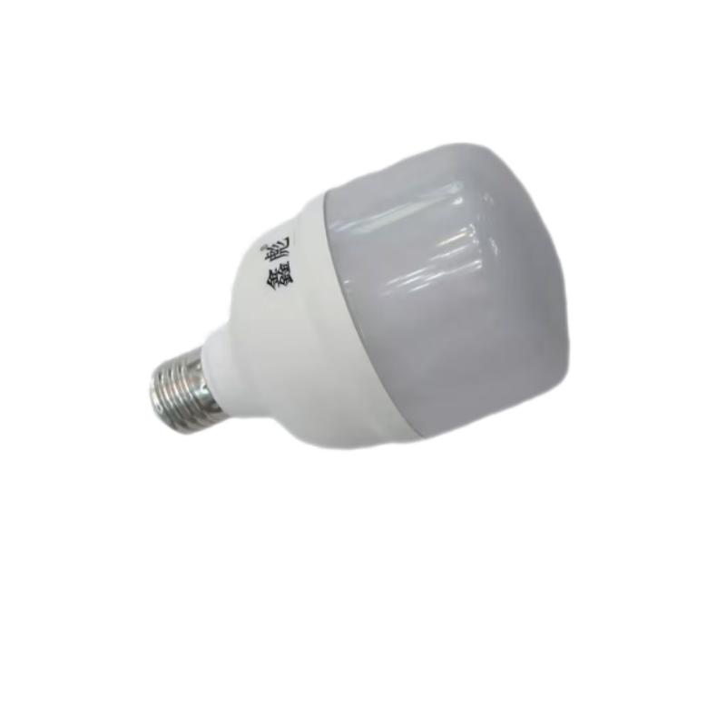 鑫彪LED灯源球泡E27-30W 个
