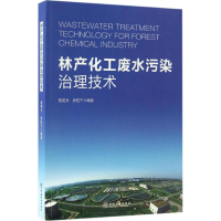 音像林产化工废水污染治理技术施英乔,房桂干 编著