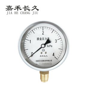 嘉禾长久 膜盒压力表检测型 YE100 块