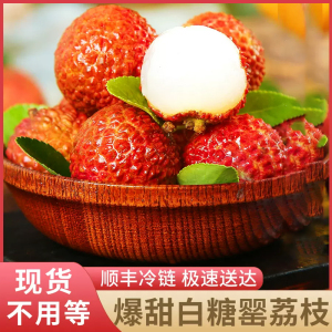 彩箱装[熊猫鸟]新鲜白糖罂荔枝 净重4.5斤 单果18g+