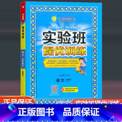 语文 人教版 五年级下 [正版]2023新版实验班提优训练五年级下册语文配套人教版 小学5年级下册同步课时练习作业本小学