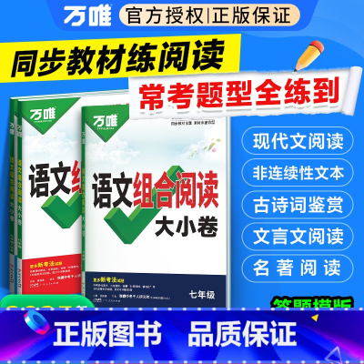 语文组合阅读大小卷 七年级 [正版]新书2025万唯初中语文组合阅读大小卷初一初二初三789年级阅读理解专项组合训练测试