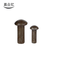 嘉众忆 半圆头铆钉 (6×25mm)JZY-65 个