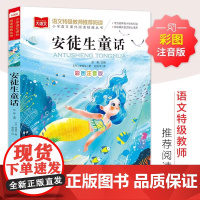 安徒生童话 彩图注音版 儿童文学 一二三年级课外阅读书世界经典文学少儿名著童话故事书 大语文系列 小学语文课外阅读经典丛
