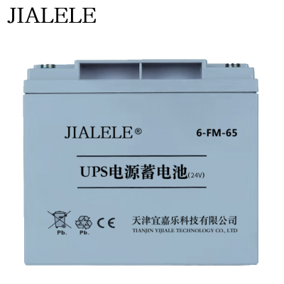 JIALELE UPS电源蓄电池 6-FM-65 24V 块