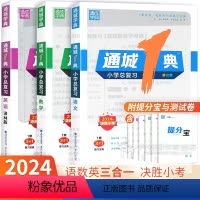 [全3本]语文+数学+英语 小学通用 [正版]2024通城1典小学总复习语文数学英语江苏教版人教版译林专项训练习小学6六