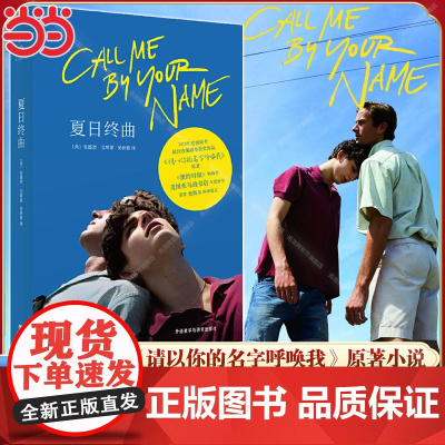 夏日终曲 第90届奥斯卡获奖电影原著小说请以你的名字呼唤我Call me by your name 爱情故事外国小说书