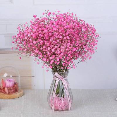 干花家居装饰摆件真花满天星干花花束带花瓶客厅茶几电视柜摆设-染色粉色满天星不带花瓶