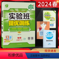 物理 九年级下 [正版]2024春实验班提优训练九年级物理下册人教版RJ 初三9年级物理下同步课时训练尖子生提高班练习册