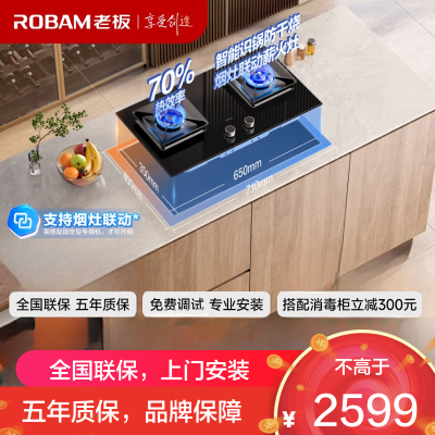 老板(Robam)双灶一级能效 5.2kW 智能大火力 防干烧易清洁 嵌入式猛火灶家用灶具 57B9A-D2P天然气
