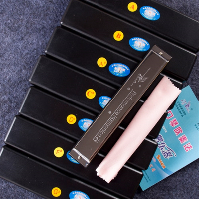 天鹅(TianE)口琴24孔复音专业演奏A调B调降B调降D调降E调降G调降A调