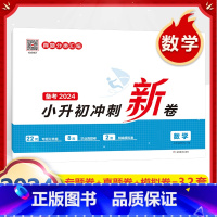 小升初冲刺新卷(数学) 小学通用 [正版]小学知识大盘点名校冲刺方案三四五六年级人教版语文数学英语小考总复习小升初考试重