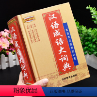 [正版]大本汉语成语大词典高中生初中生中小学生四字词语解释字典大全儿童语文常用实用带近义词反义词造句拼音例句出处成语故