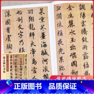 [正版]字帖传世碑帖精选彩色本 二辑 赵孟頫行书集 行书书法毛笔字贴 初学者毛笔字帖入门练习 历代老碑帖法书选名品系列